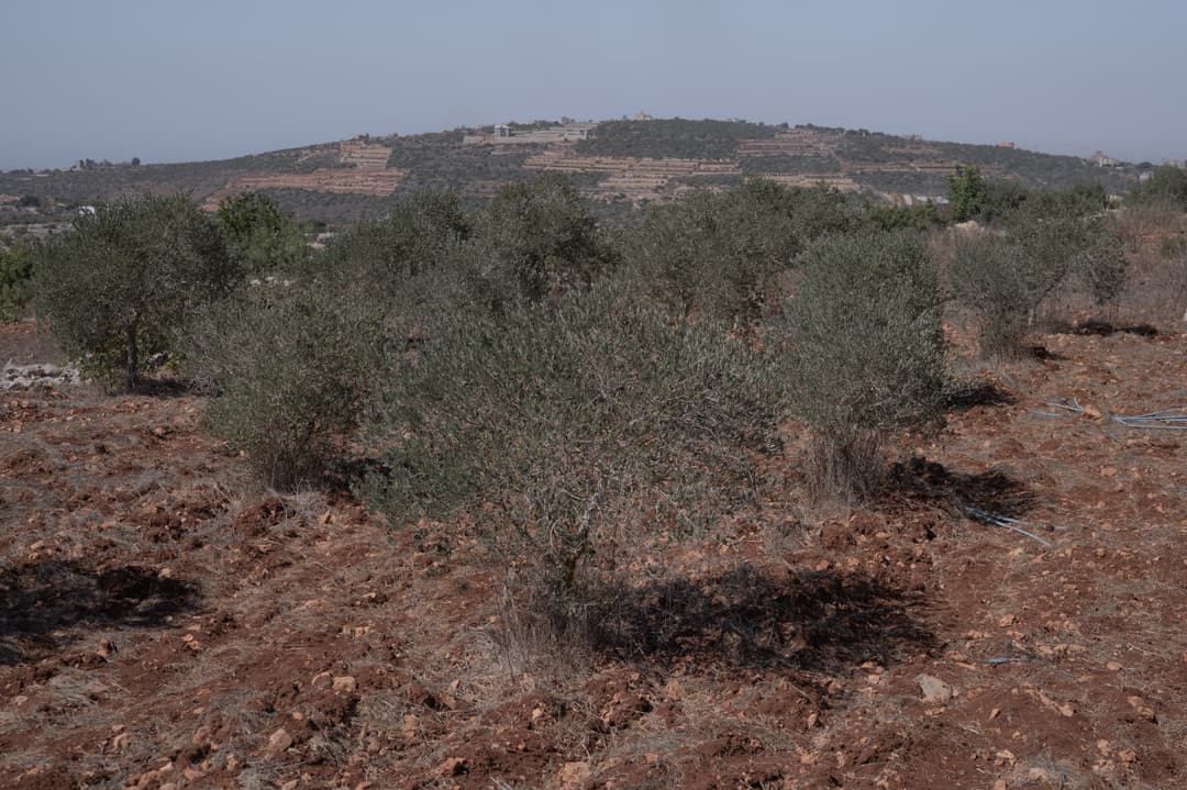 HL_ADESDEVISES_2930225.jpg